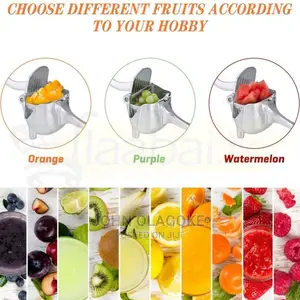 Manual Fruit Presser Juice Extractor