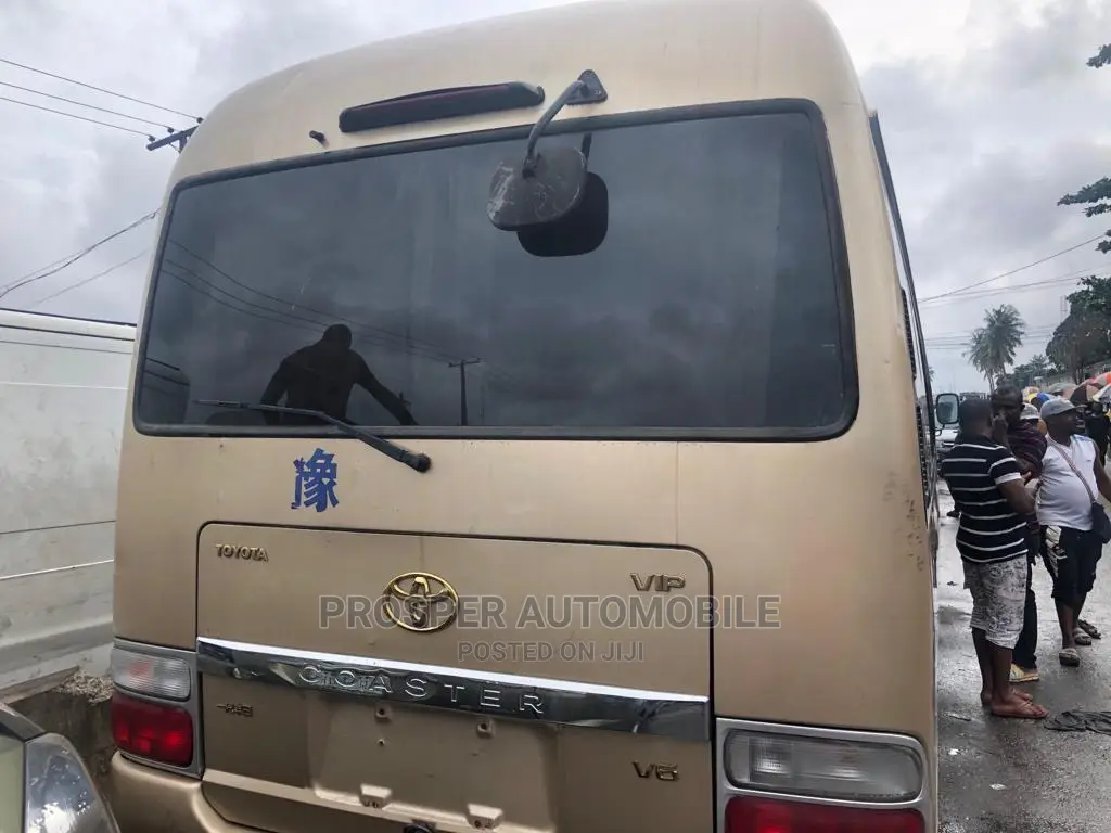 Toyota Coaster 2017 Brown