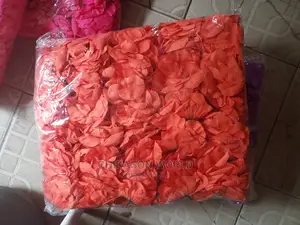 Rose  Flowers 