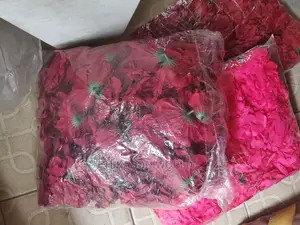 Rose Flowers