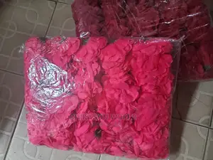Rose  Flowers  
