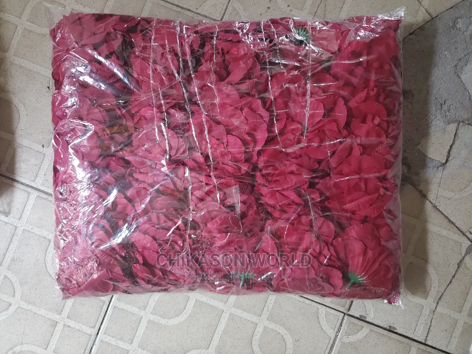 Rose  Flowers  