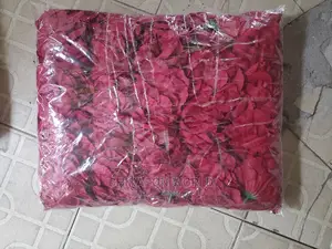 Rose  Flowers  