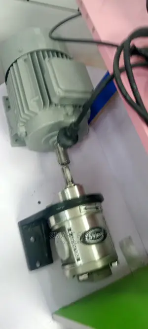 Stainless Steel Gear Pump