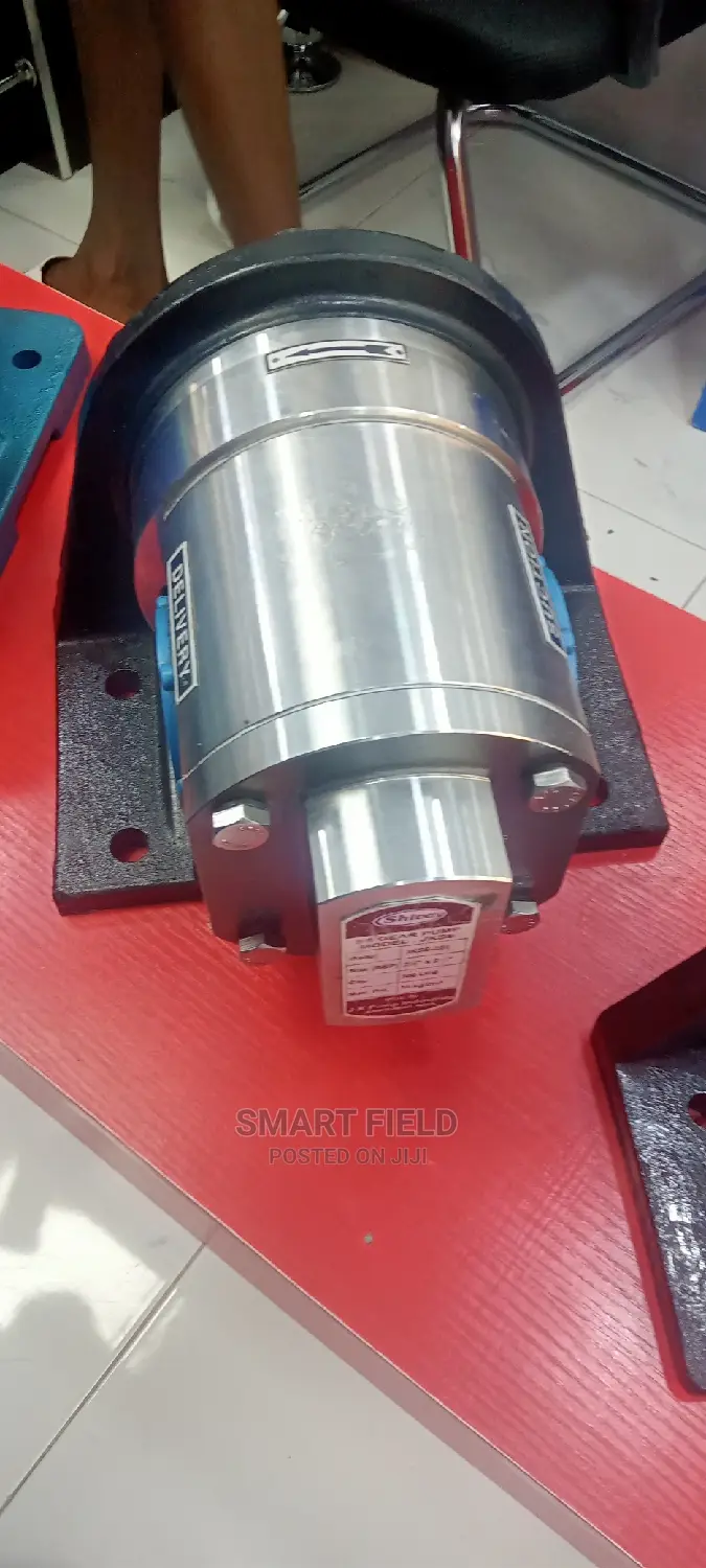 Shivay Gear Stainless Pump