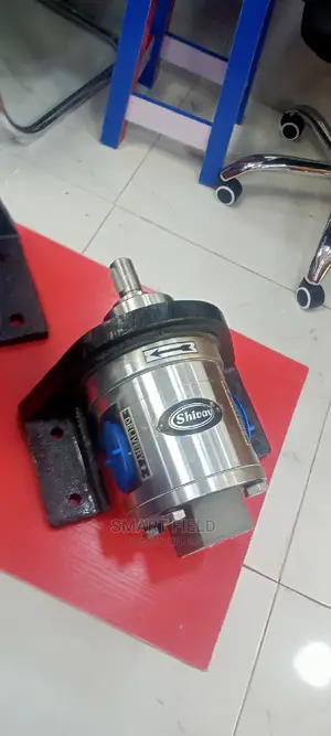 Shivay Stainless Steel Gear Pump