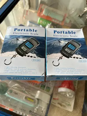 Electric Scale