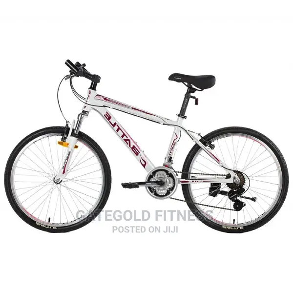 450-24in / Gg-450 24inoutdoor Sports Bike