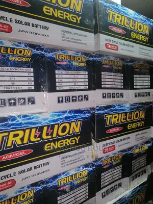 265ah Trillion Energy Battery