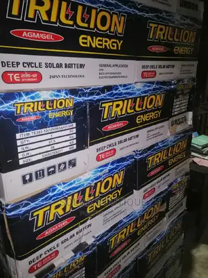 265ah Trillion Energy Battery