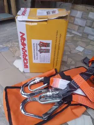 Workman Safety Belt