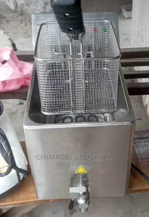 Industrial Deep Fryer