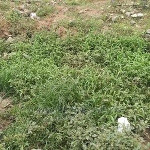A Gated and Fenced Bare Land Off Admiralty Way Lekki Phase 1