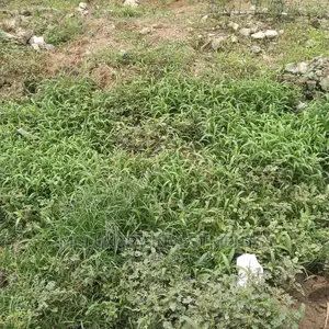 Landed Property Victoria Arobieke Street, Lekki Phase 1