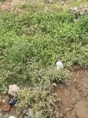 Landed Property Measured 513sqm at Block 52A Plot 30B,Lekki