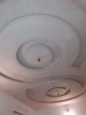 Professional Pop Ceiling