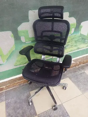 Ergonomic Mesh Chair