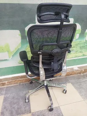 Ergonomic Mesh Chair