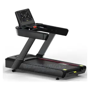 Commercial Treadmill Dft9300