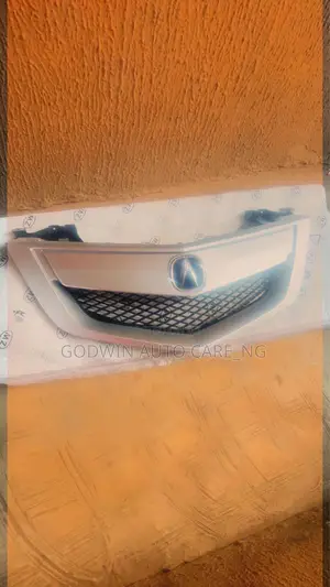 Front Grille 2012 Acura Mdx