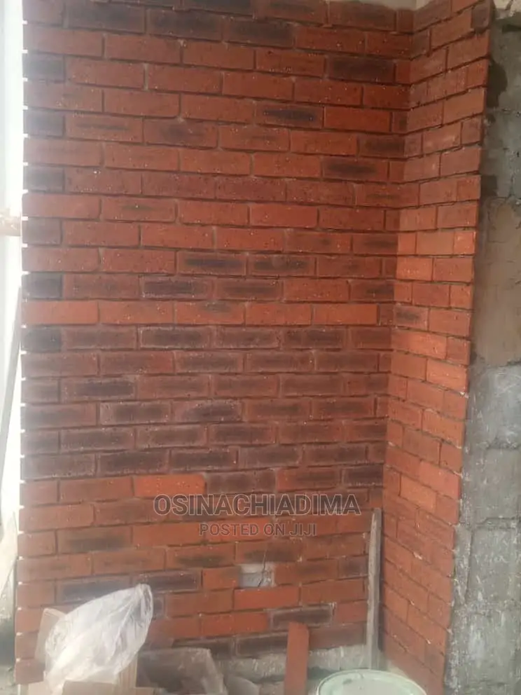 South Africa Bricks Wall