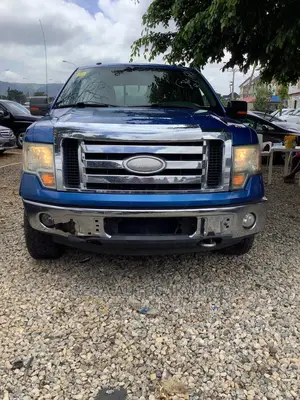 Ford F-150 SuperCrew 4x4 2009 Blue