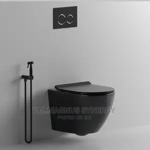 England Standard Concealed Wc