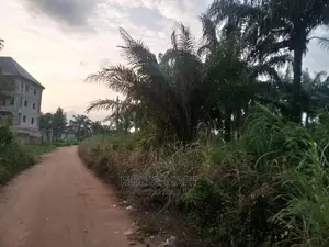 Lands in Nnewi