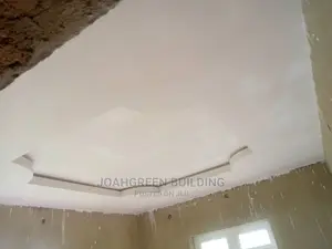 Polystyrene Ceiling