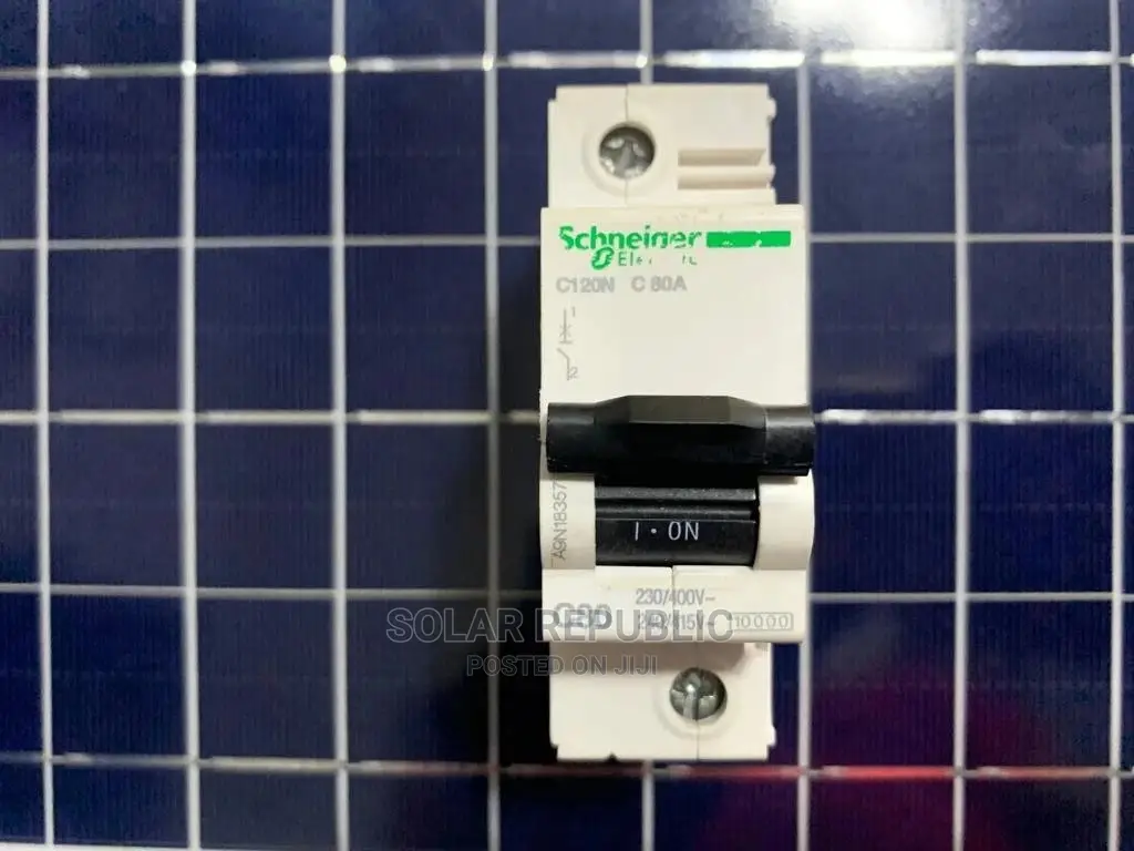 Schneider 80A Mccbreaker