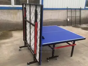 Indoor Table Tennis