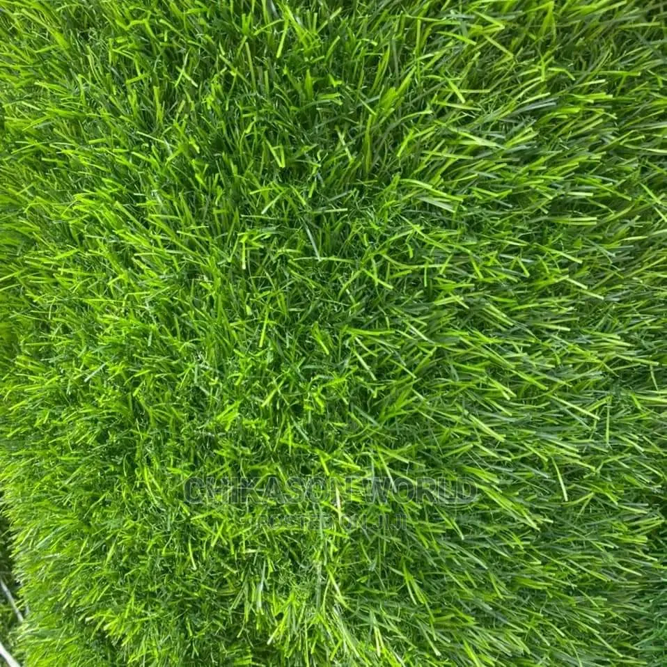 High Quality Synthetic Grass Carpet