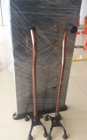 Quadripod Walking 4 Leg With Hand Support Walking Sticks