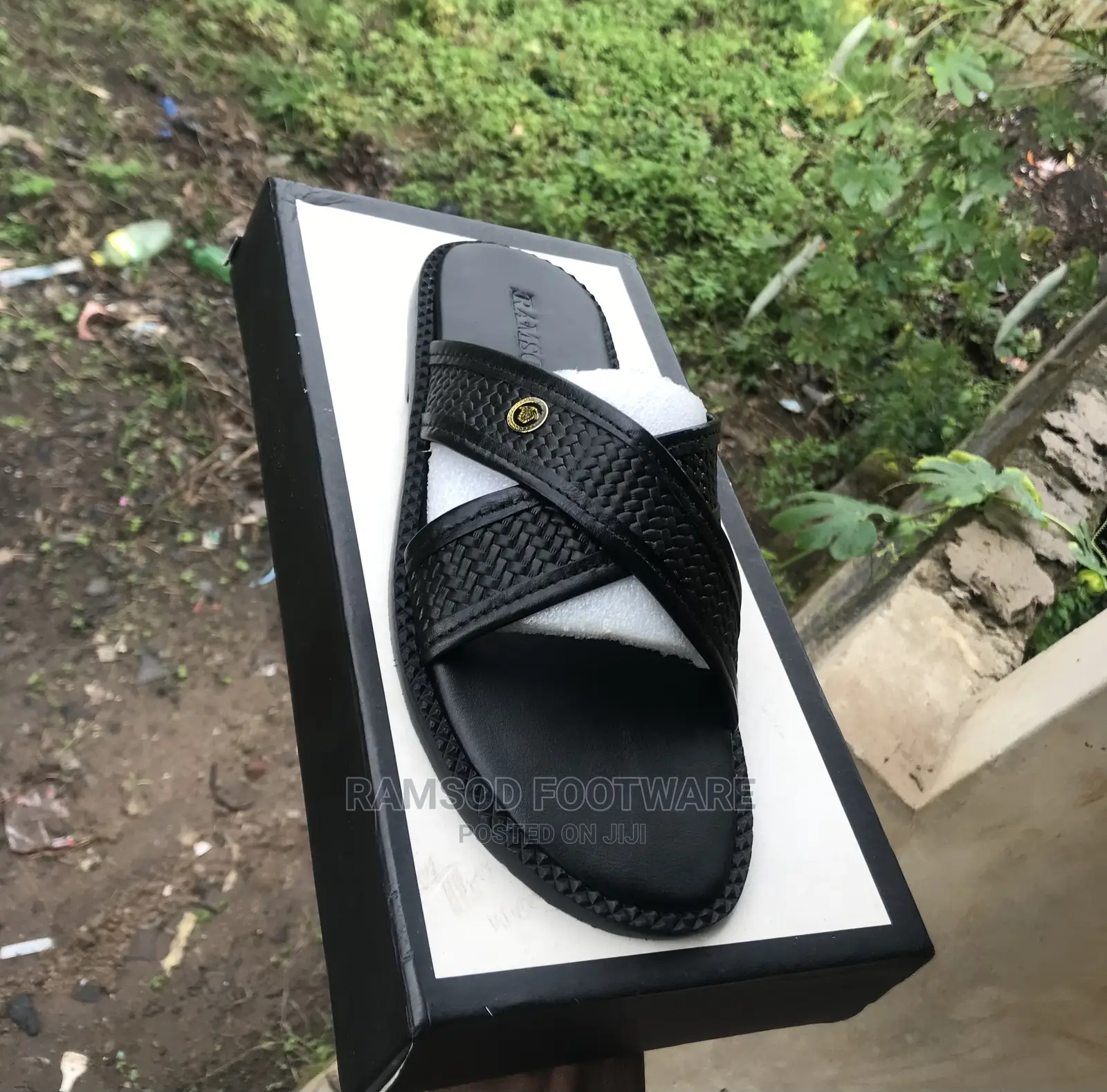 Slippers Palm