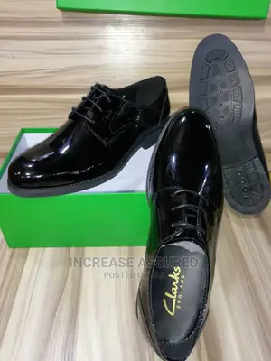 Corporate Clarks Leather Shoe for Men