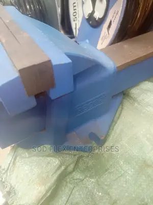 8 Inches Record Vice