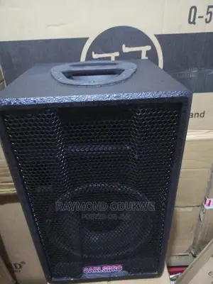 Professional Passive 10" Speakers