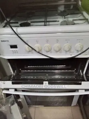 Standing Gas Cooker