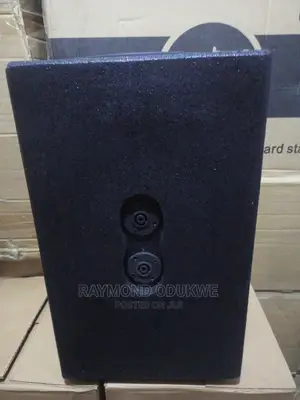 Portable 10" Acoustic Speakers