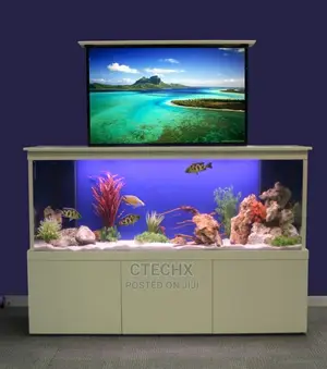 Aquarium Tank