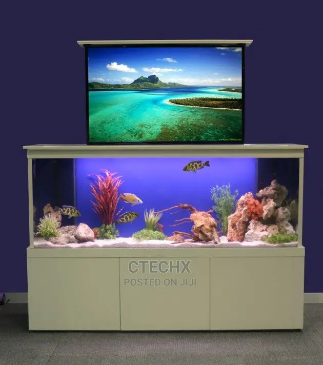 Aquarium Tank