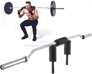 SSB Safety Squat Bar