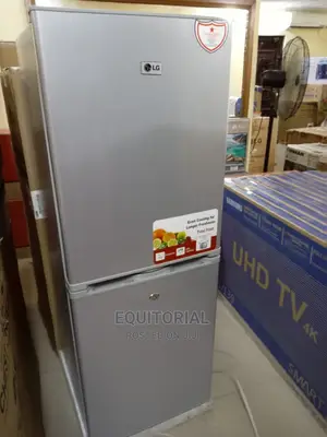 Quality -- LG Flg398l (Double Door) Refrigertor