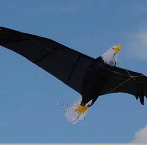 Eagle Kite 3D With Carry Bag