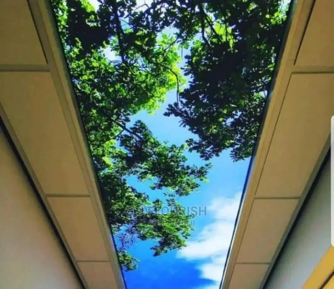 Stretch Ceiling