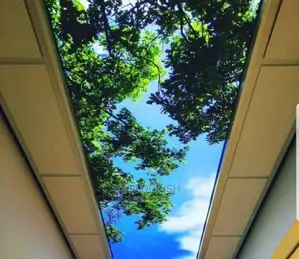 Stretch Ceiling