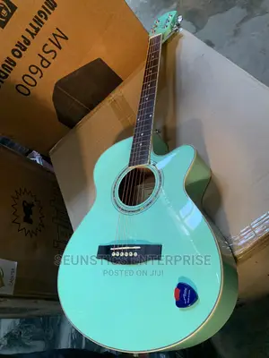 Quality Fenix Acoustic Guitar