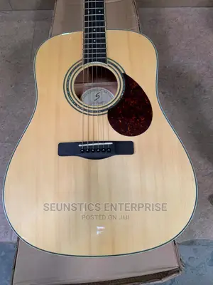 Samick Greg Bennett Electro Acoustic Guitar