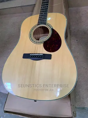 Samick Greg Bennett Electro Acoustic Guitar