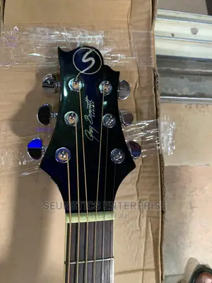 Samick Greg Bennett Electro Acoustic Guitar